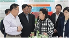 市委副書記、代市長艾麗華來我公司考察、調(diào)研